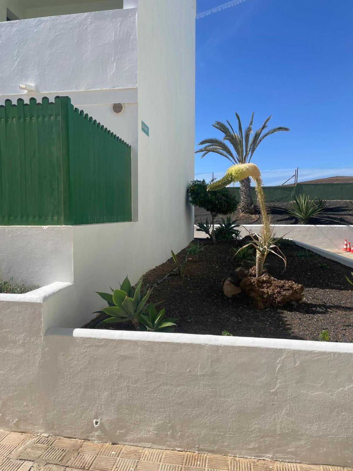 Fuertesun Dunas Beach Parque Holandes Esterno foto